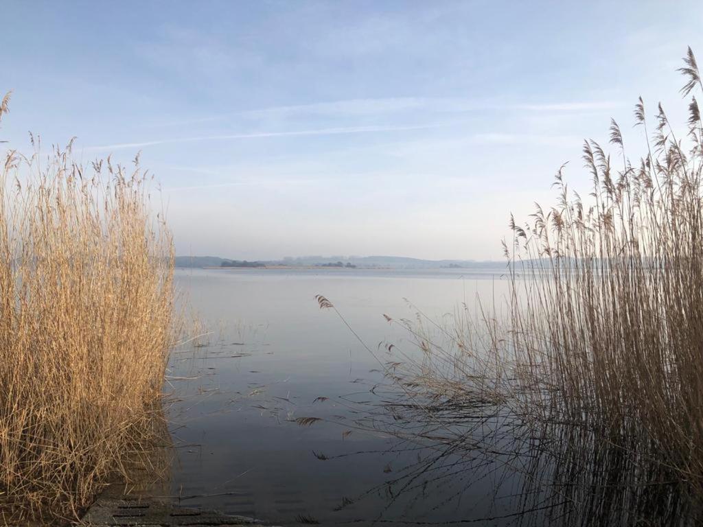 Ferienwohnung Seeblick - Insel Usedom Balm Zewnętrze zdjęcie