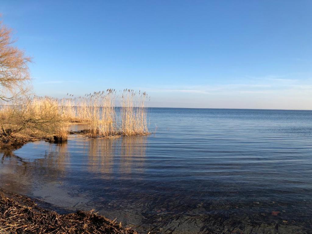 Ferienwohnung Seeblick - Insel Usedom Balm Zewnętrze zdjęcie