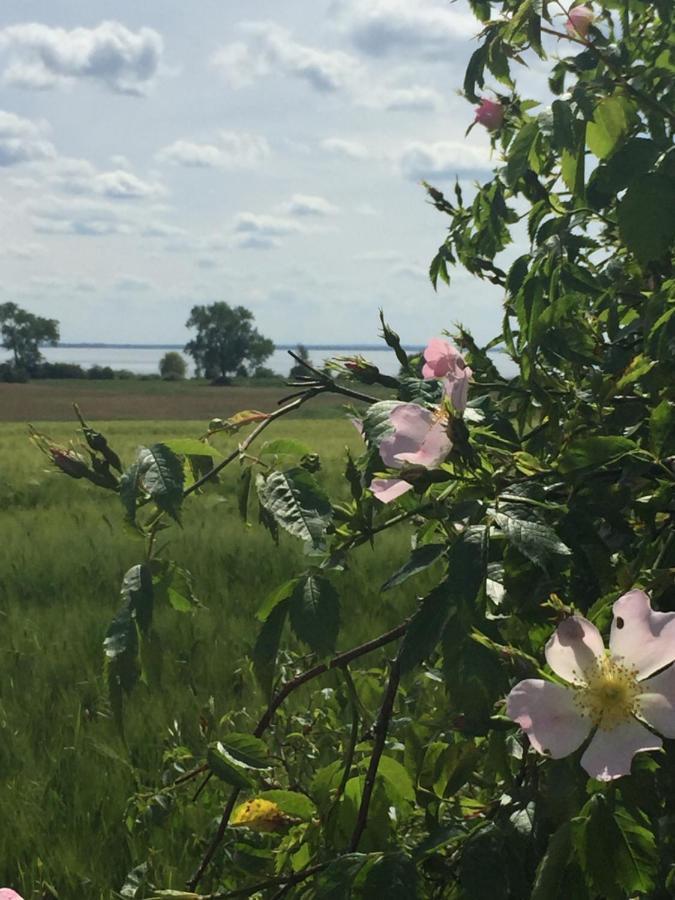 Ferienwohnung Seeblick - Insel Usedom Balm Zewnętrze zdjęcie