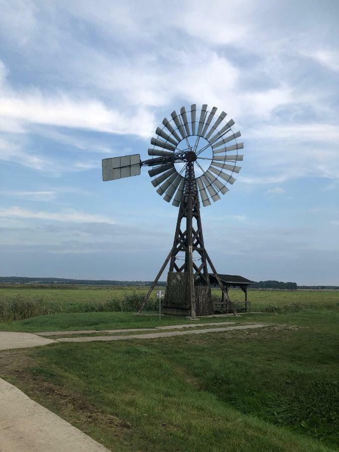 Ferienwohnung Seeblick - Insel Usedom Balm Zewnętrze zdjęcie